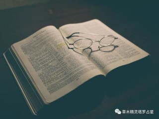 草木星座｜給處女座的情書