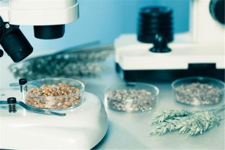 你了解微生物嗎？這一逍遙的世界公民
