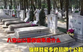 北京八寶山公墓，1號與81號墓主分別是誰？受祭拜最多的又是誰_賀龍_毛主席_反革命