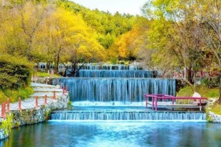 麗江玉水寨景區，東巴文化研學旅遊不斷增加，尤受青睞！