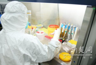 武漢市中心醫院分子生物學實驗室爭分奪秒助力武漢全員核酸檢測
