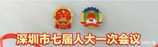 深圳南山代表團：建成世界級創新型濱海中心城區