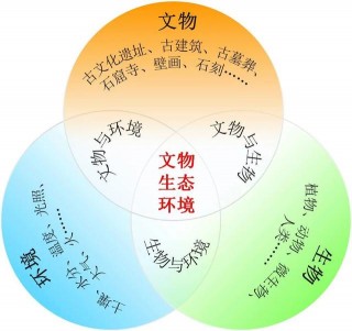 博物館青年說｜文物保護中的生物學問題研究現狀及展望