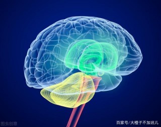 職場告別邏輯混亂，提高邏輯思維能力，有這幾本書就夠了！