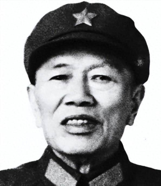 鄧華之子鄧穗回憶，1980年鄧華重病昏迷，口中不停囈語：可惜