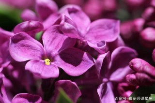 2021年財路順暢，橫財說發就發的4星座，好日子滾滾來！