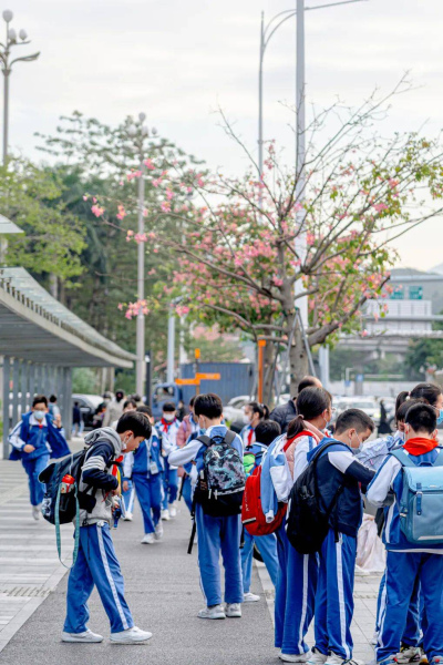 滿嘴爛梗的學生，正在“逼瘋”深圳教師_歸已_網絡_鬧麻了