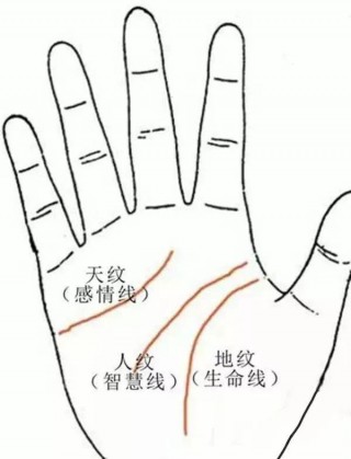 手相學常見的富貴格局有六種掌紋，據說抓金抓銀，看看你有麼有