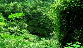 魅力古城海口，體驗經典海口美食和美景