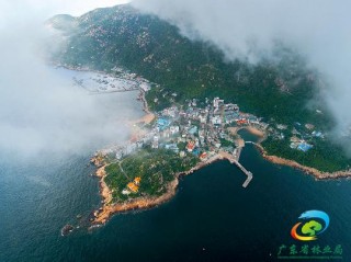 廣東林業精選19個森林旅遊目的地，與您共慶“雙節”！