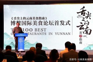 舌尖上的雲南美食指南在博鼇論壇上首發