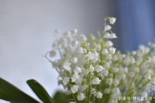 下周，吉星庇佑，舊愛回頭變真愛，攜手再續前緣的星座