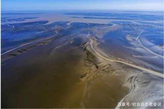 喜報！東台市條子泥景區被列入2021年國家4A級旅遊景區創建計劃！