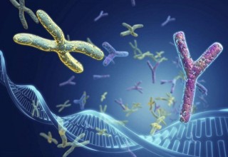 生物進化再起爭議，科學在隕石中發現疑點，或證明人類來源外太空