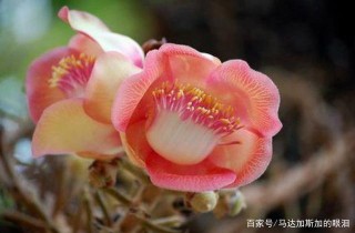 近幾月，這3星座運勢大吉大利，事業步步高升，日子紅火