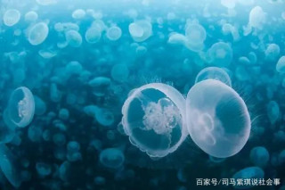 2,000米深的太平洋上，是否有亞特蘭蒂斯遺址？