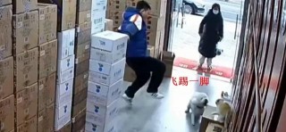 江蘇一女子遛狗不拴繩，襲擊家貓，反罵貓主人；你的
