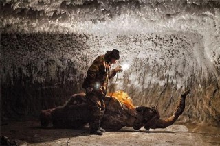 猛獁象正在“蘇醒”，被生物學家稱為“美食”，一顆象牙值千金！