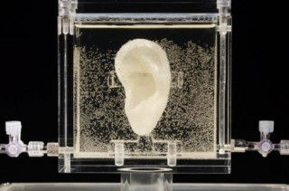 生物技術突破？人類文明將踏入宇宙時代？顛覆認知的大腦計劃
