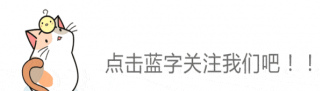 在對著貓咪又親又抱時，你可能忘了，它會背著鏟屎官做什麼