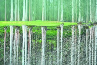 山川錦繡 成都亮色