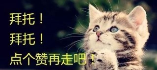 2019愛情擋不住的幾大生肖，桃花運旺，月老親自牽線!