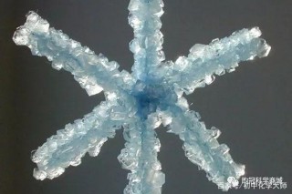 讓我們一起愛上化學元素，愛上實驗，愛上科學