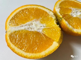 「湖南美食」終於吃上了湖南永興冰糖橙 十大名橙也太好吃了
