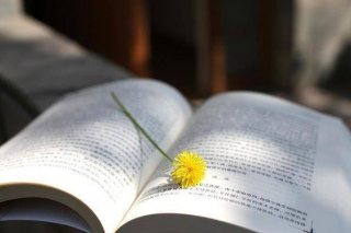 在父母眼裏，有一種糟糕的學習成績，叫“讀望天書”