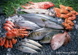 日照海鮮大餐好吃的推薦的飯店，一方水土一方美食