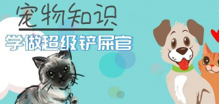 貓咪不和鏟屎官一塊玩，看鏟屎官拿逗貓棒的樣子，就像是看傻子