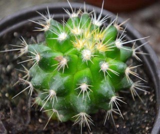 為什麼家裡不能放這幾物？若不是老師傅說，我家還一直錯下去