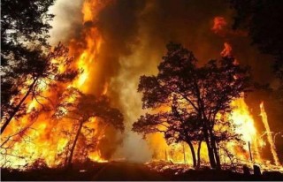 澳洲大火數月，北極萬年一遇的高溫，專家歎息：地球在倒計時了嗎
