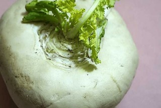 蕪菁與蕪菁甘藍區別！學會這些再也不用擔心買錯蕪菁了！