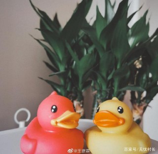 520心動日，娛樂圈發生了什麼？真是幾家歡喜幾家憂