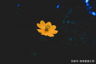 未來15天，月老牽紅線，4大星座桃花旺盛，喜逢真愛喜脫單！