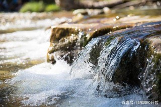 人工智能利用天氣數據預測河流水質