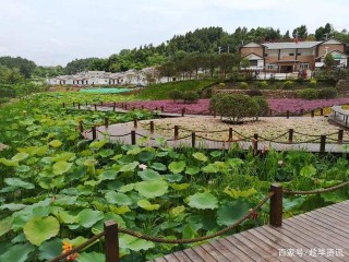 簡陽市啟動家風荷鄉旅遊景區升級打造，景區功能將更加完善