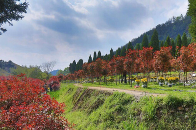 “動了風水，家裏要遭災”？在田間地頭遷墳，到底有多難_殯葬_收費_服務