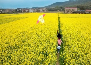 聚焦春遊“微旅行” 發展旅遊新模式：安徽宣城推動春遊經濟