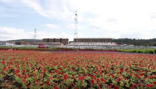 「國家AAA級旅遊景區王村知青記憶園風采季」之二：知青憶芳華