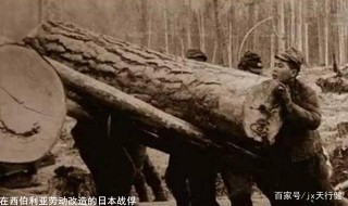 真敢想，日新首相菅義偉找俄要兩島，日本哪裏來的自信