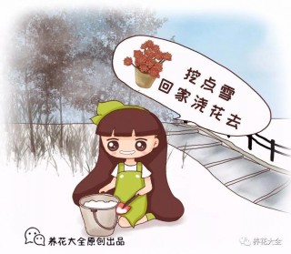 熊孩子把雪塞花盆裡，幾天後，葉子竟綠的冒油，還咕嚕嚕地開花！