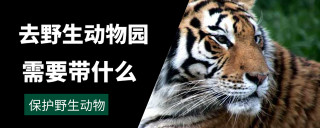 去野生動物園需要帶什麼，按照戶外旅遊的標准准備，要做好這幾點