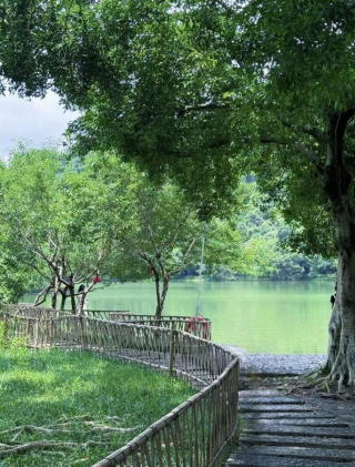 柳州：解鎖冬日裏的安逸與自在_螺螄_城市_龍潭公園