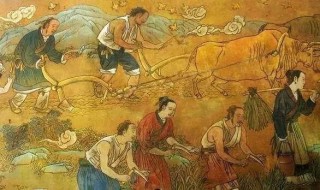 各國的飛機餐什麼樣？韓國很清淡，樣式豐富，印度有點特別