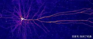 除了COVID-19你還需要關注的——生物科學在2020