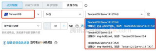 騰訊雲服務器TencentOS Server鏡像操作系統版本及內核說明