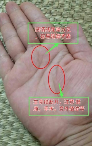 教你看手相：智慧線喜分叉，感情線怕雜紋