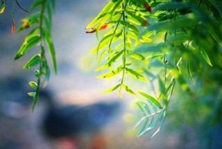 恭喜3星座，新的一年有貴人照佛，財比山高，事業節節高升！